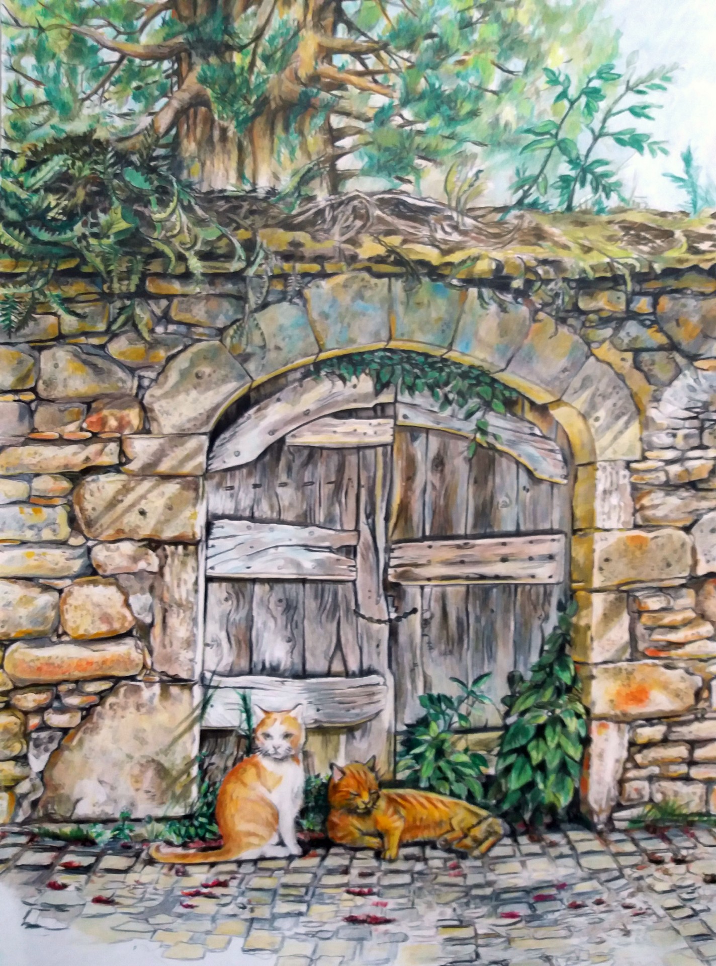 Porte 11