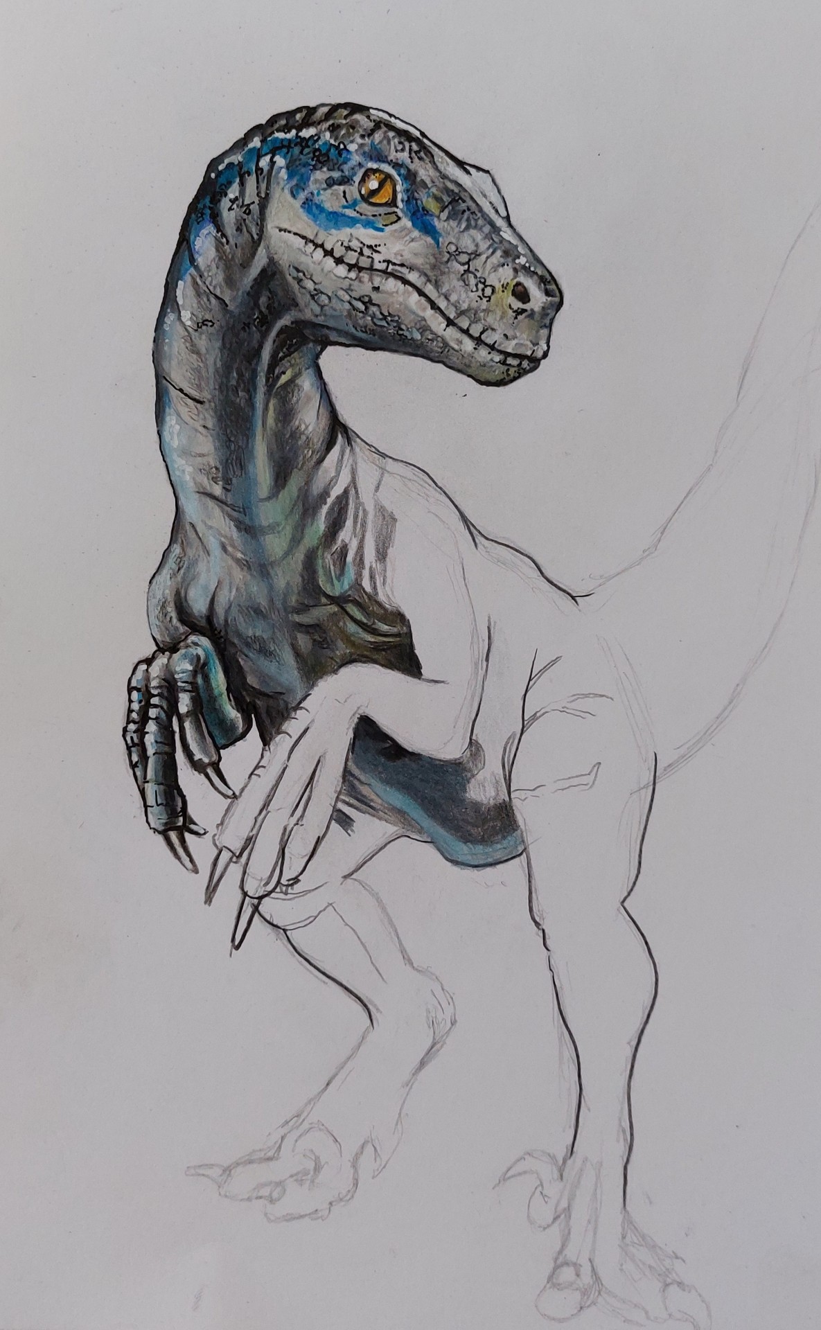 Velociraptor 2