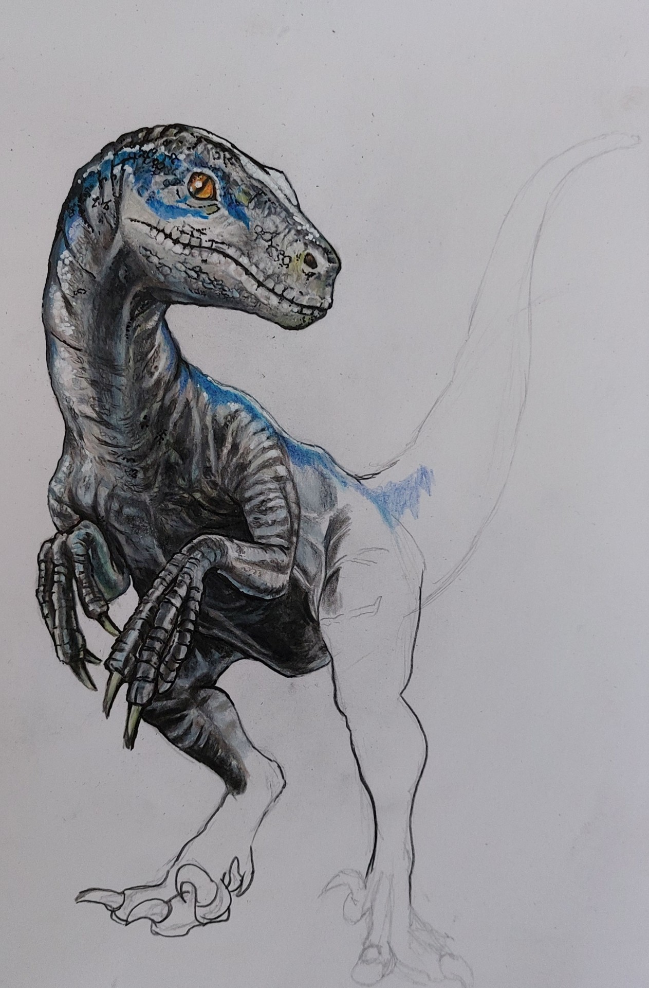Velociraptor 4