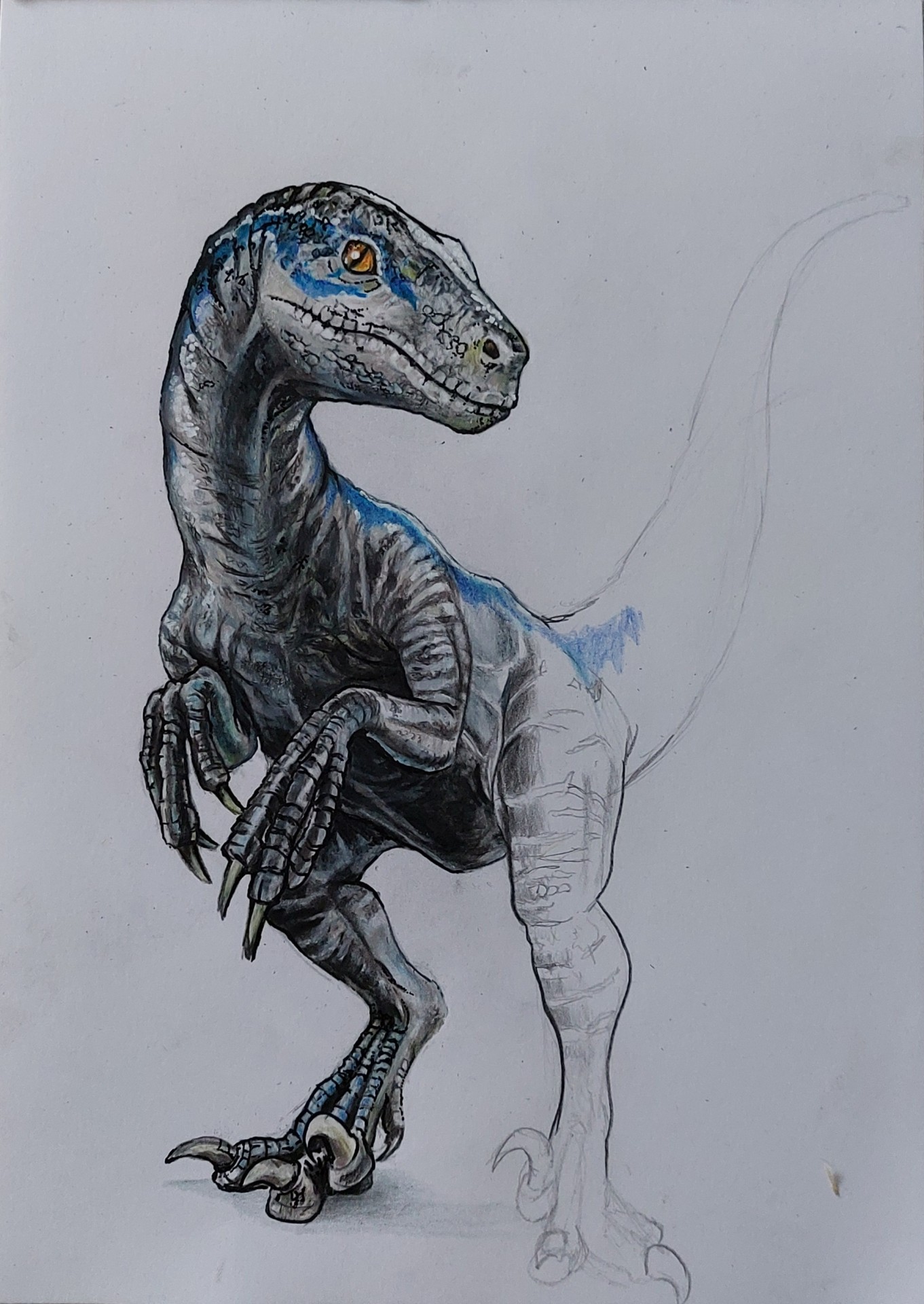 Velociraptor 5
