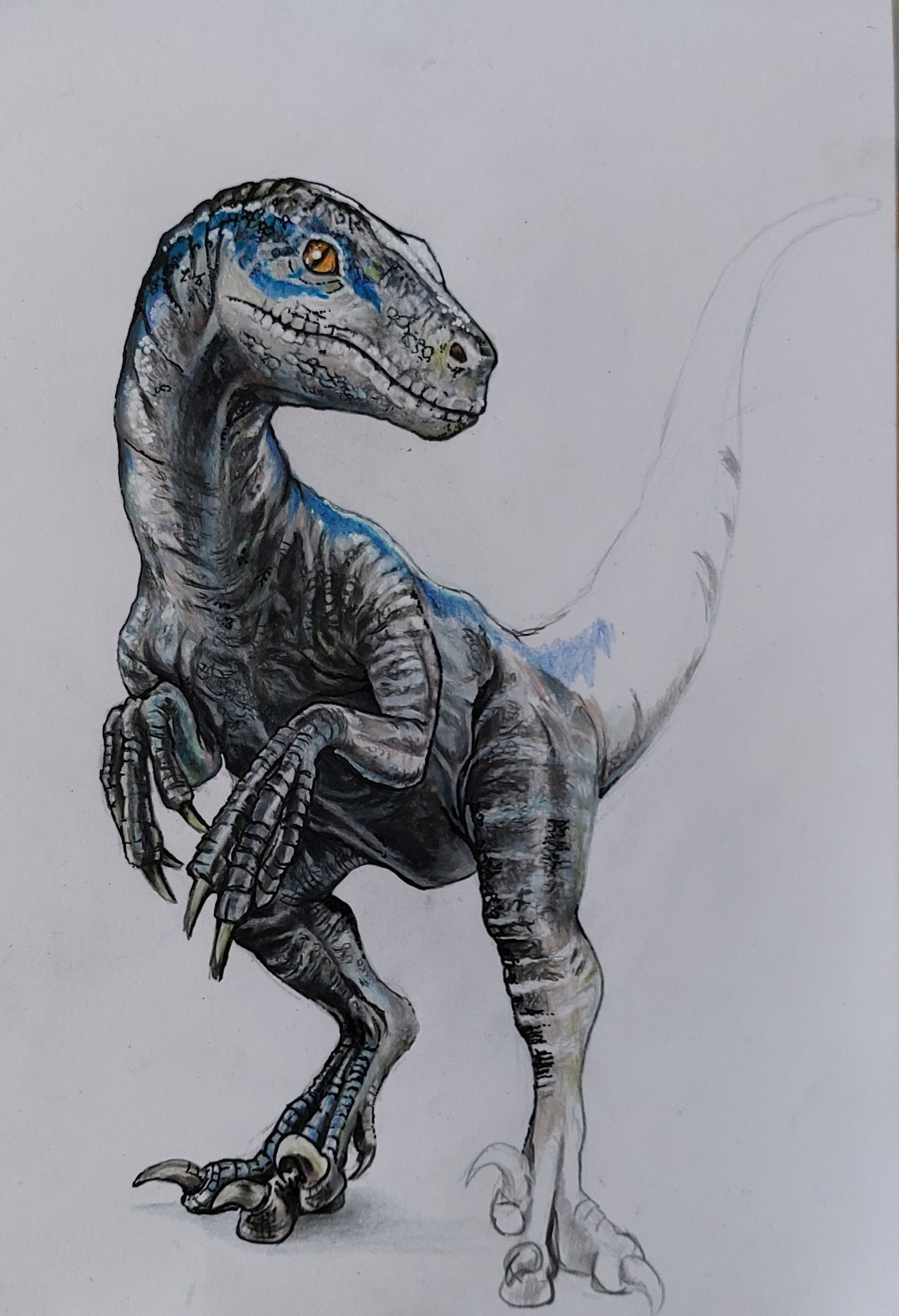 Velociraptor 6