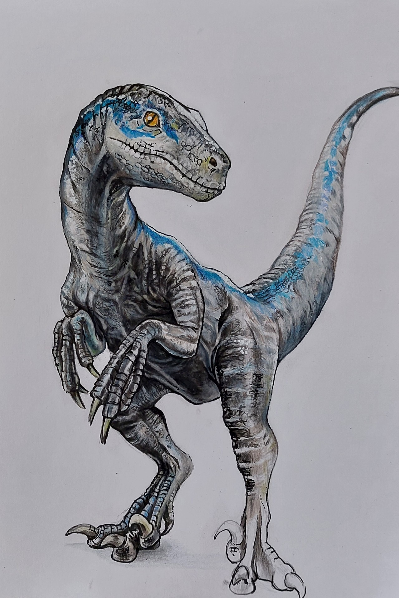 Velociraptor 8