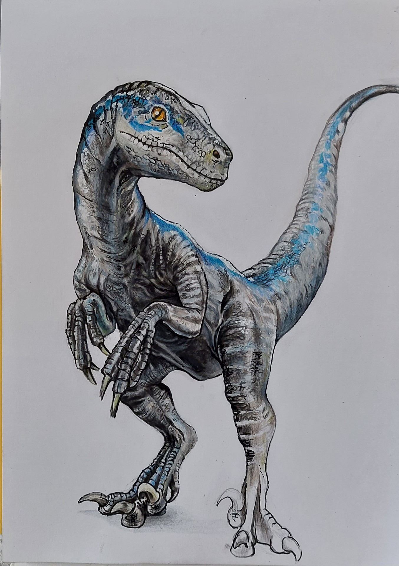 Velociraptor 7