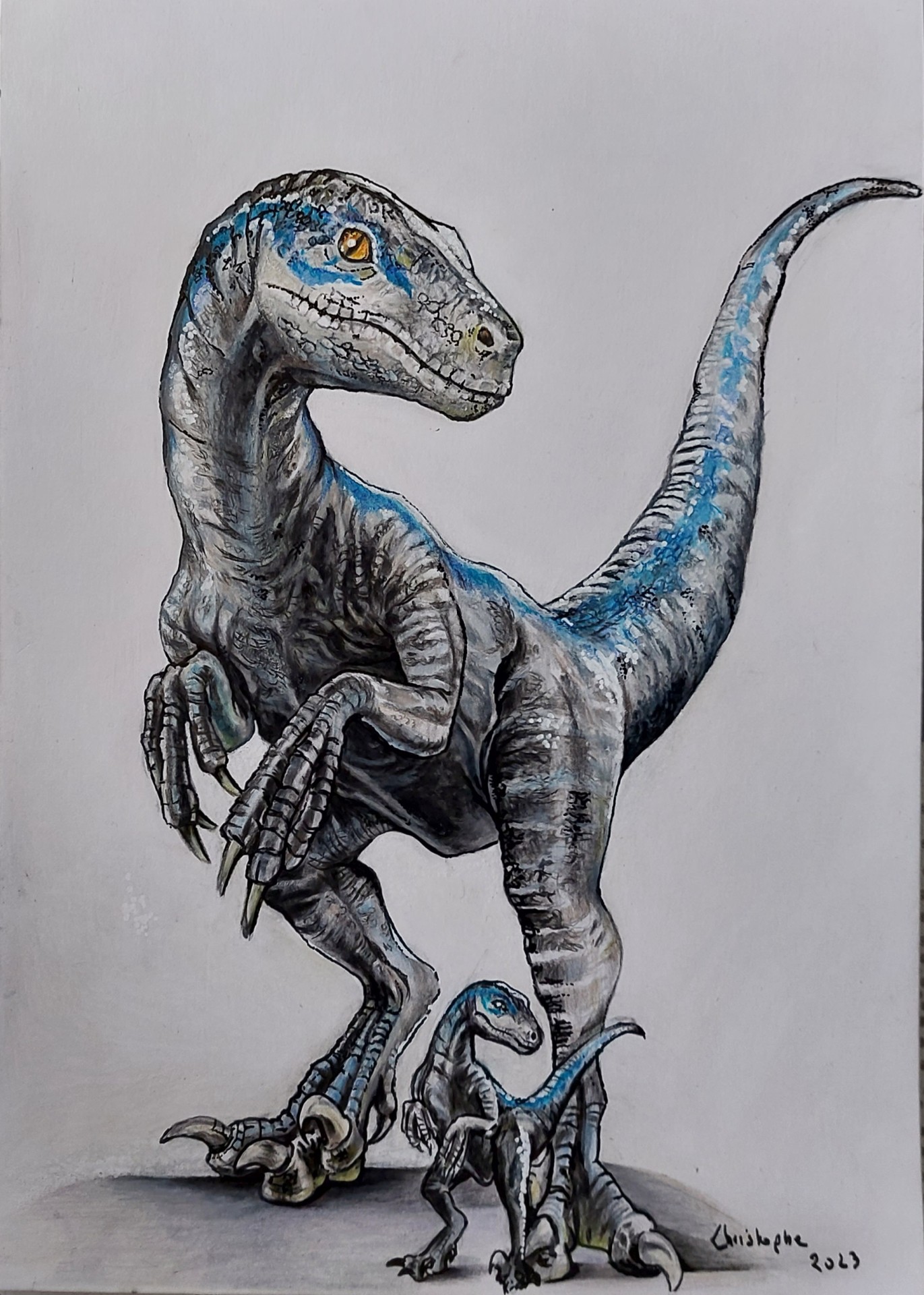 Velociraptor 9