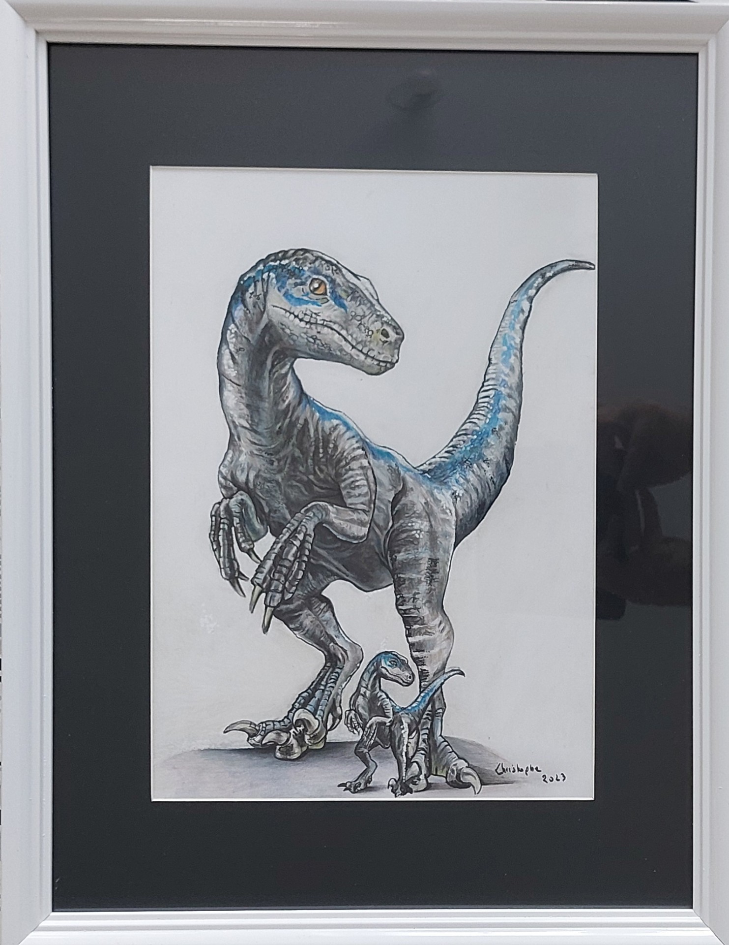 Velociraptor 10