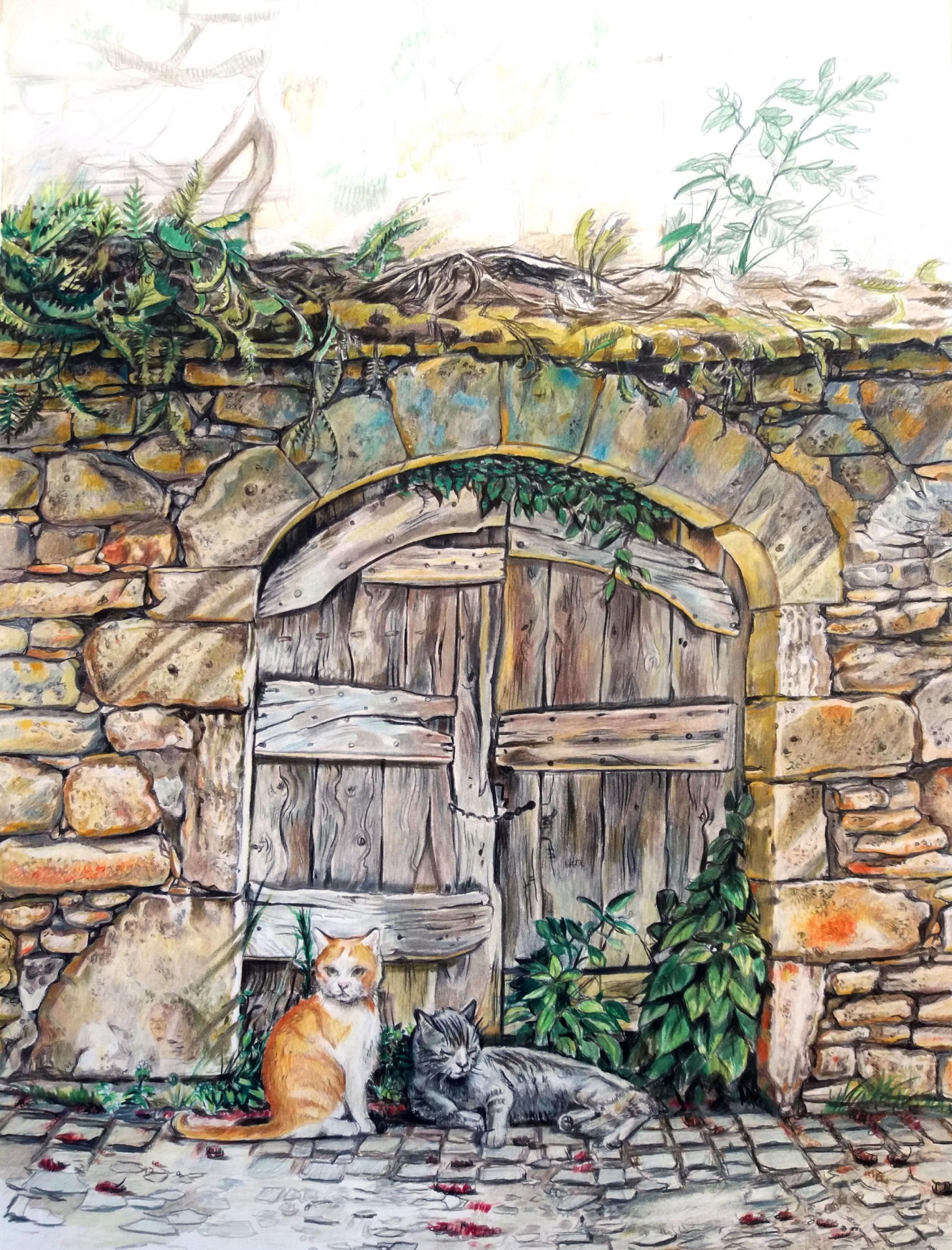 Porte 7