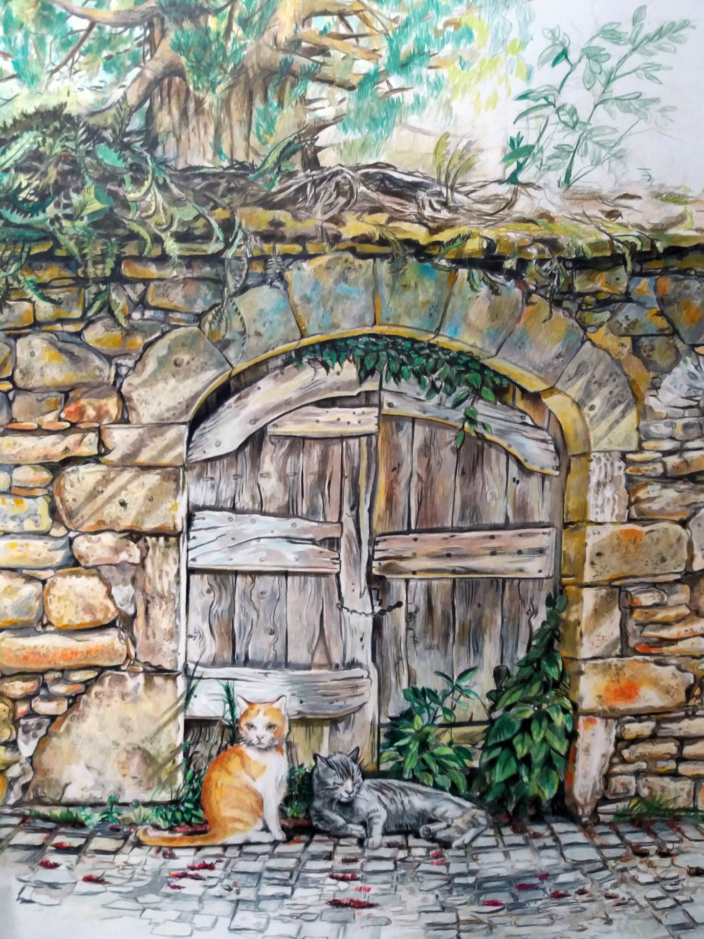 Porte 9