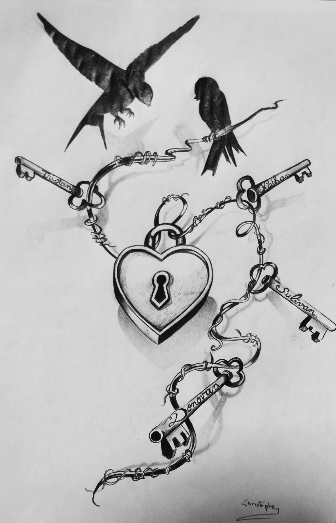 Chaine oiseaux