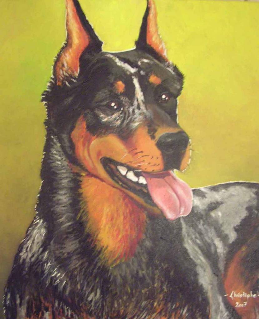 Beauceron