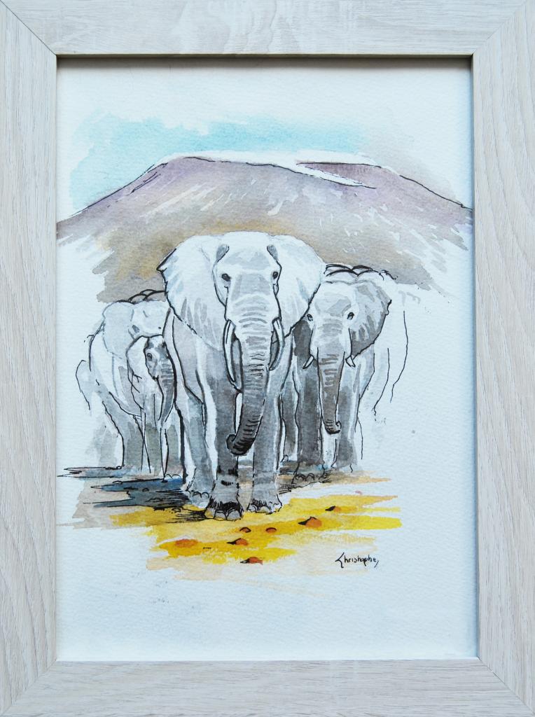 Eléphants