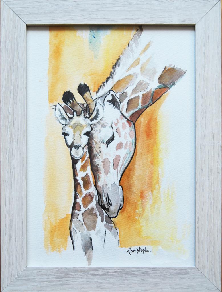 Girafes