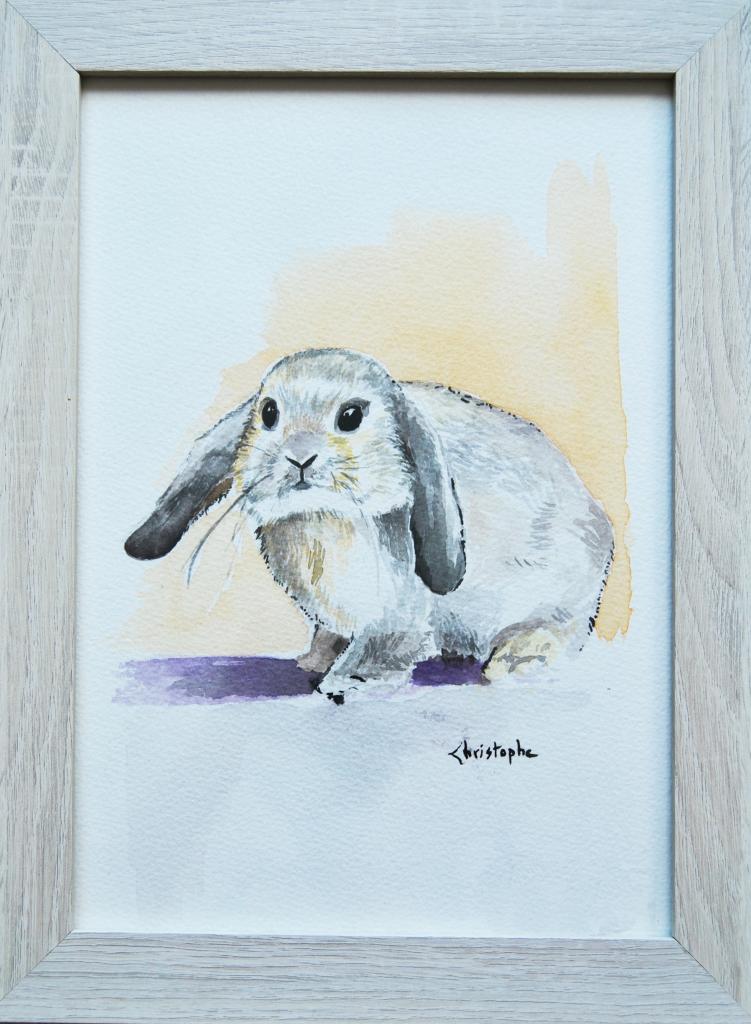 Lapin