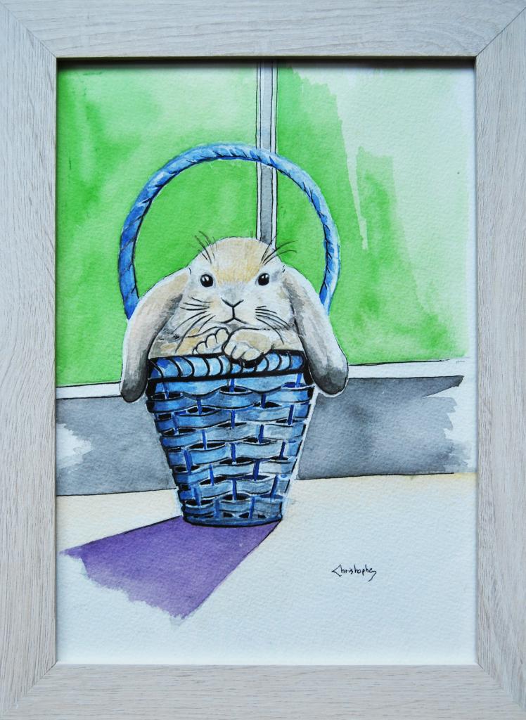 Lapin (3)
