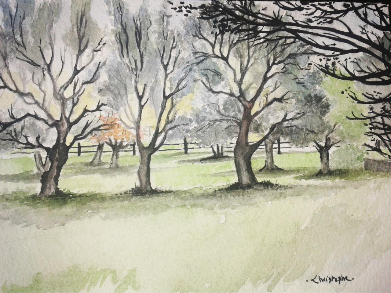 Paysage