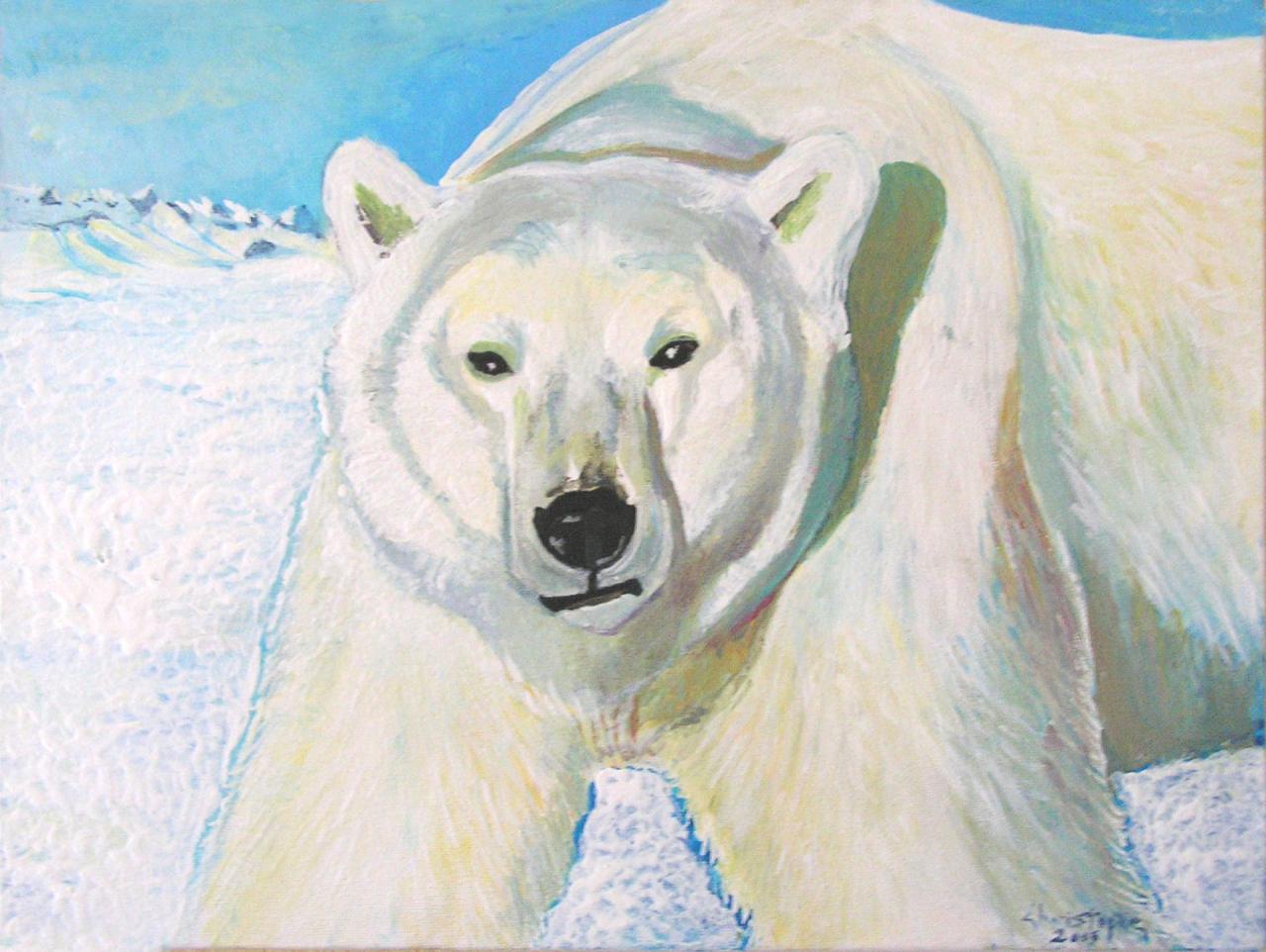 Ours blanc