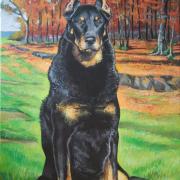 uarrior