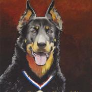 uarrior2