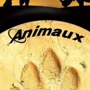 Animaux